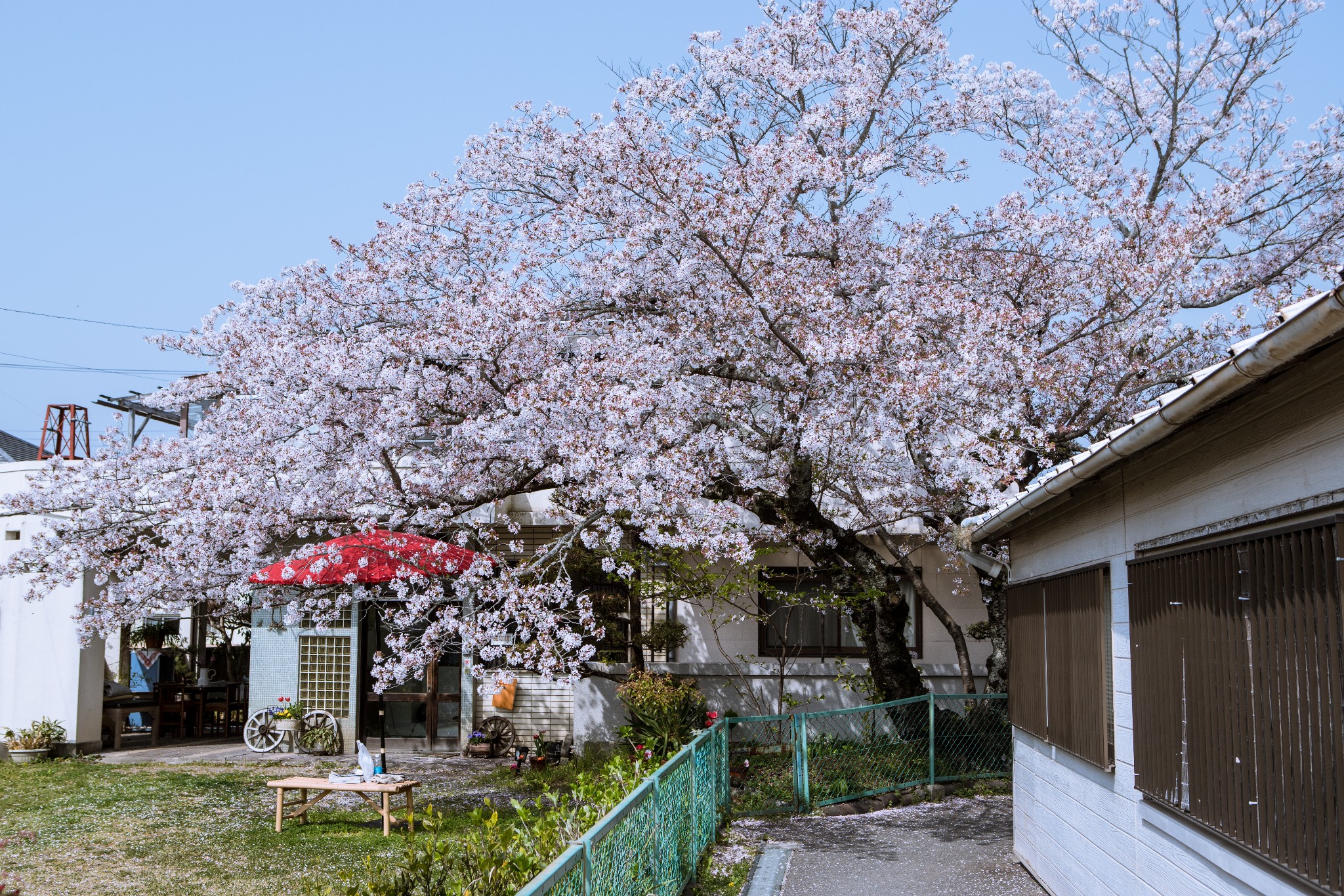 和歌山市自助遊攻略