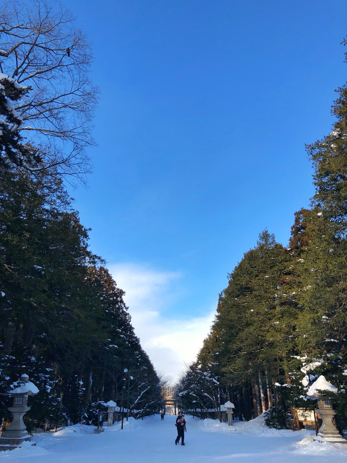 札幌自助遊攻略