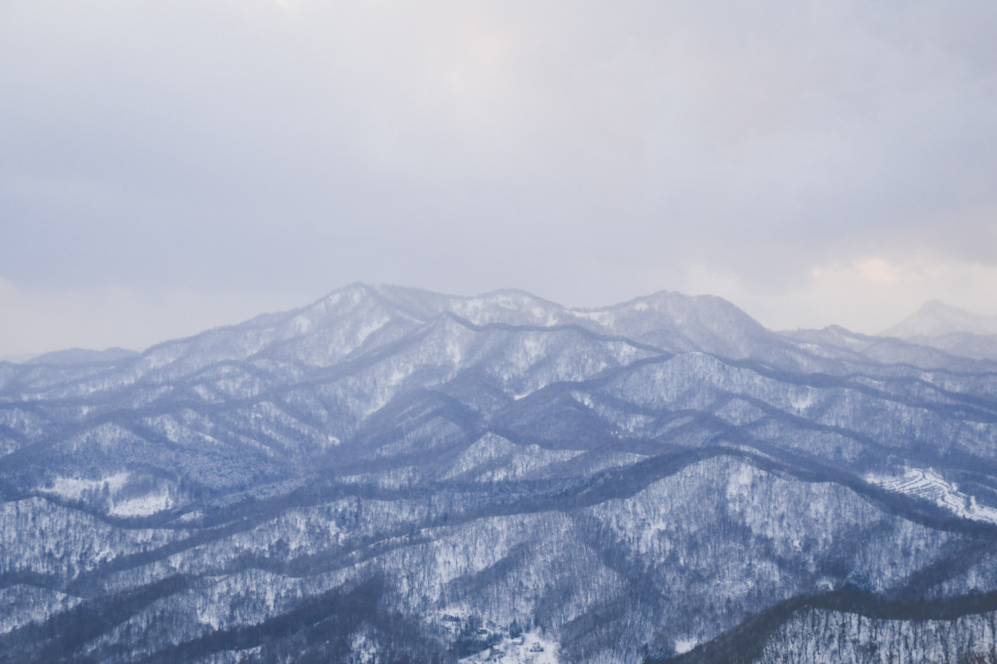 北海道自助遊攻略