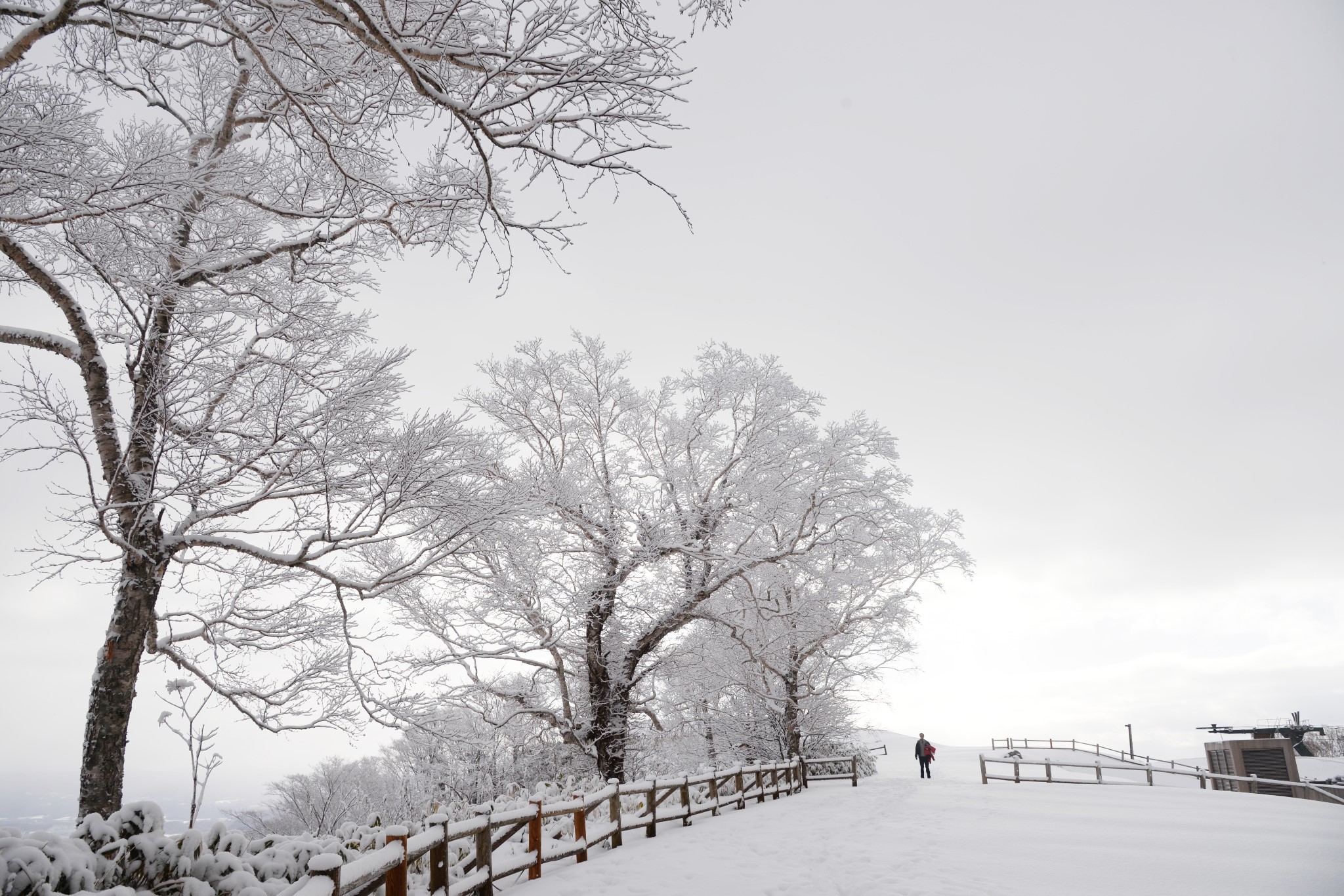 wKgBEFpDKvyAe6CJAAwzK3XOexQ46.jpeg?imageView2%2F2%2Fw%2F680%2Fq%2F90%7CimageMogr2%2Fstrip%2Fquality%2F90
