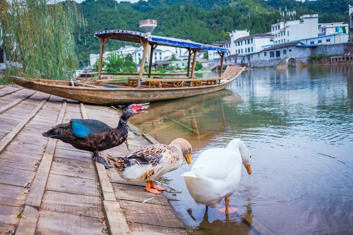 鳳凰古鎮自助遊攻略