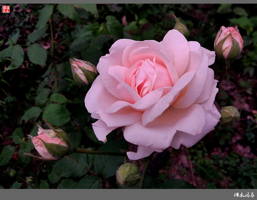 wKgBEFsKBBSAXc4rAAjBMnHeLXM73.jpeg?imageView2%2F2%2Fw%2F600%2Fh%2F600%2Fq%2F90