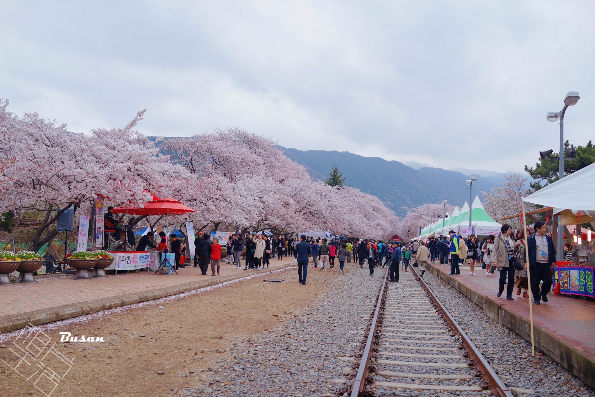 釜山自助遊攻略