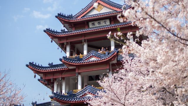 無錫靈山大佛 梵宮 太湖黿頭渚一日遊 (天天發團 登三山仙島 門票全含