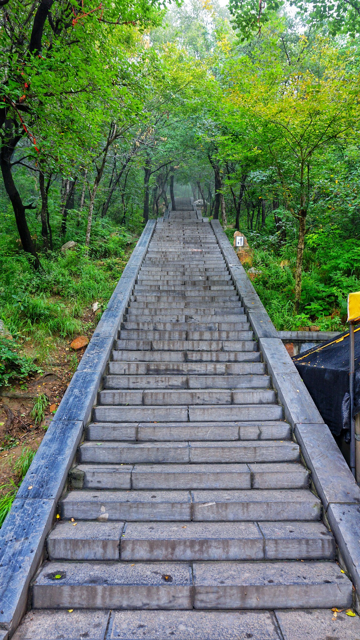 河南自助遊攻略