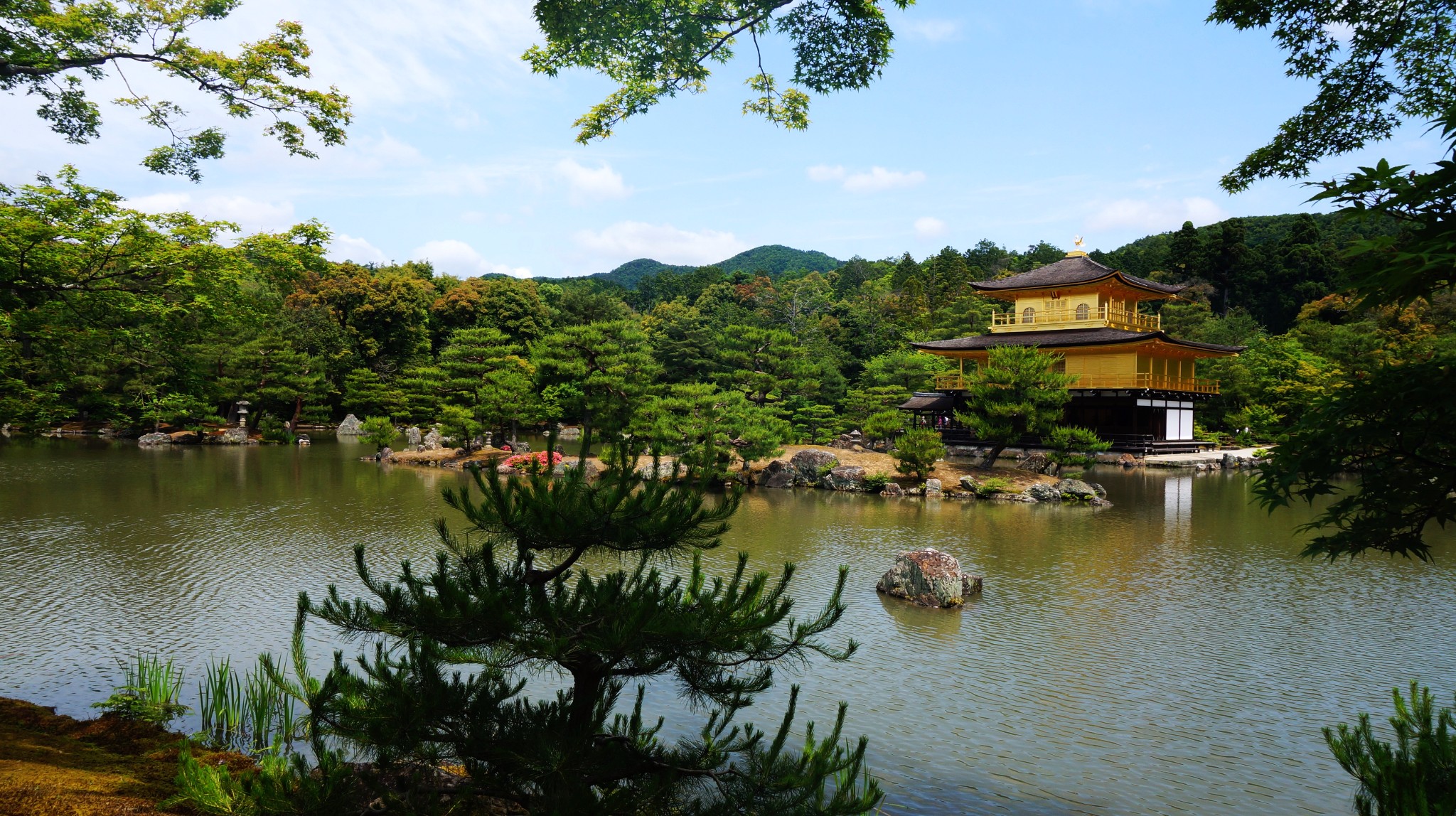 京都自助遊攻略