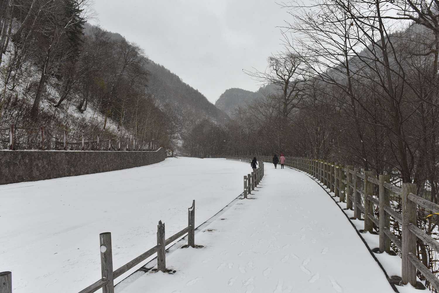 北海道自助遊攻略