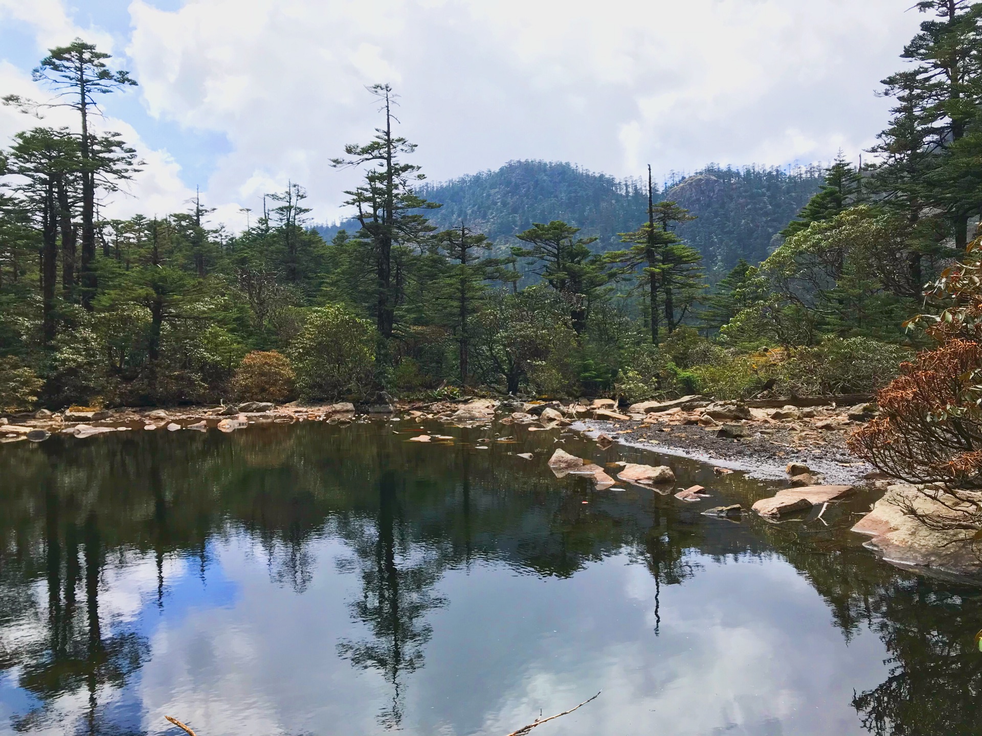 瀘沽湖自助遊攻略