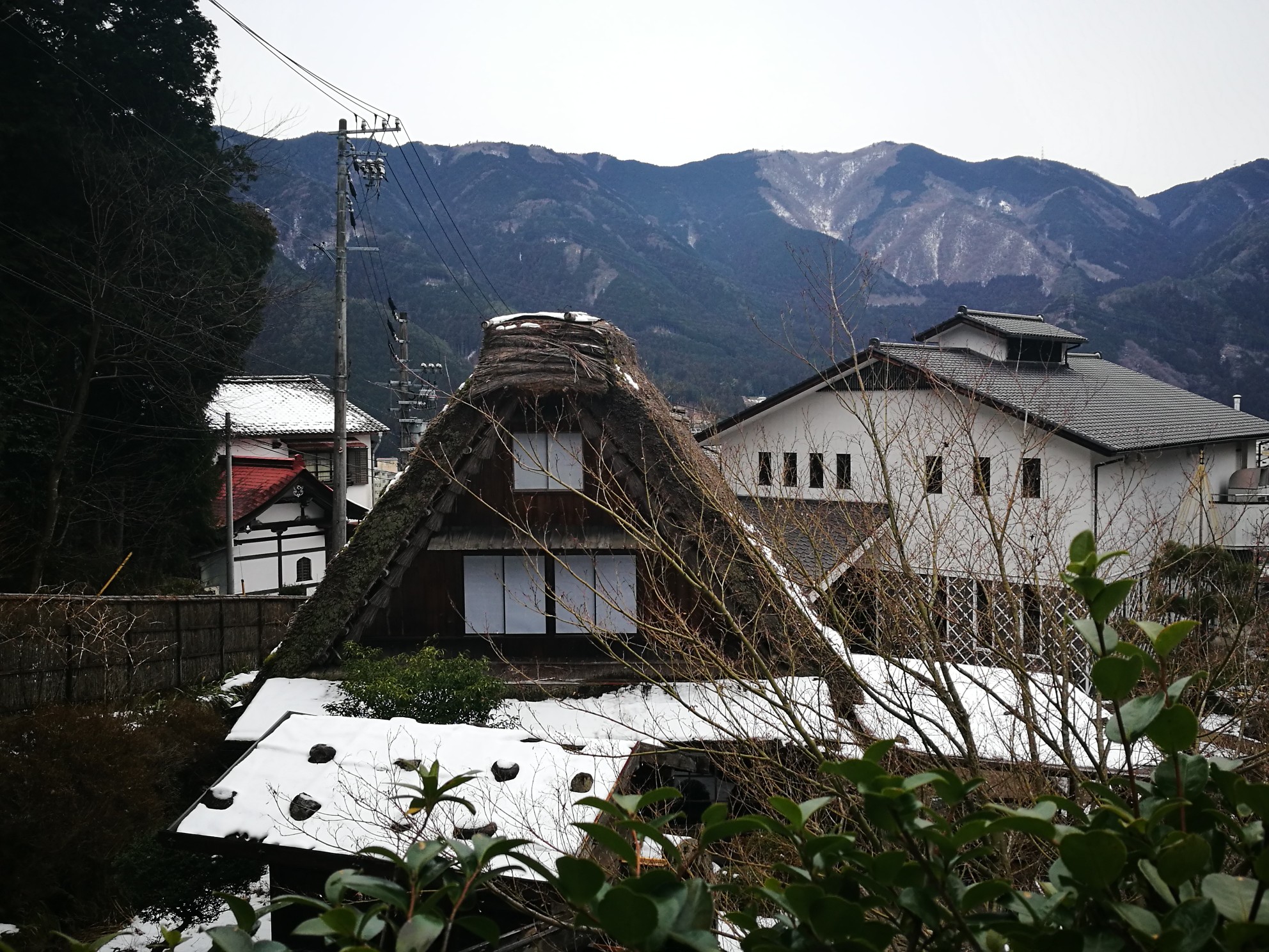 東京自助遊攻略