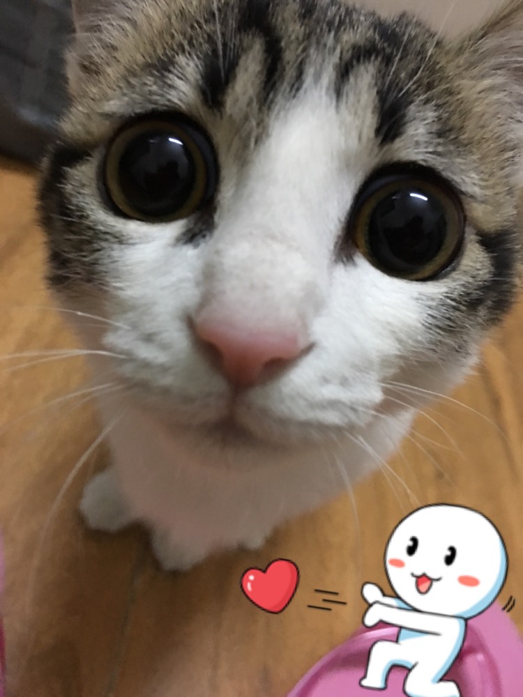 wKgBEFqJoE2AeDslAAHWz_HnjEk13.jpeg?imageView2%2F2%2Fw%2F700%2Fh%2F933%2Fq%2F90%7Cwatermark%2F1%2Fimage%2FaHR0cDovL24xLXEubWFmZW5nd28ubmV0L3MxMS9NMDAvOTEvNzAvd0tnQkVGcF9faTZBUHYtZEFBQUwxMzg3aE0wNjk5LnBuZw%3D%3D%2Fgravity%2FSouthEast%2Fdx%2F10%2Fdy%2F11