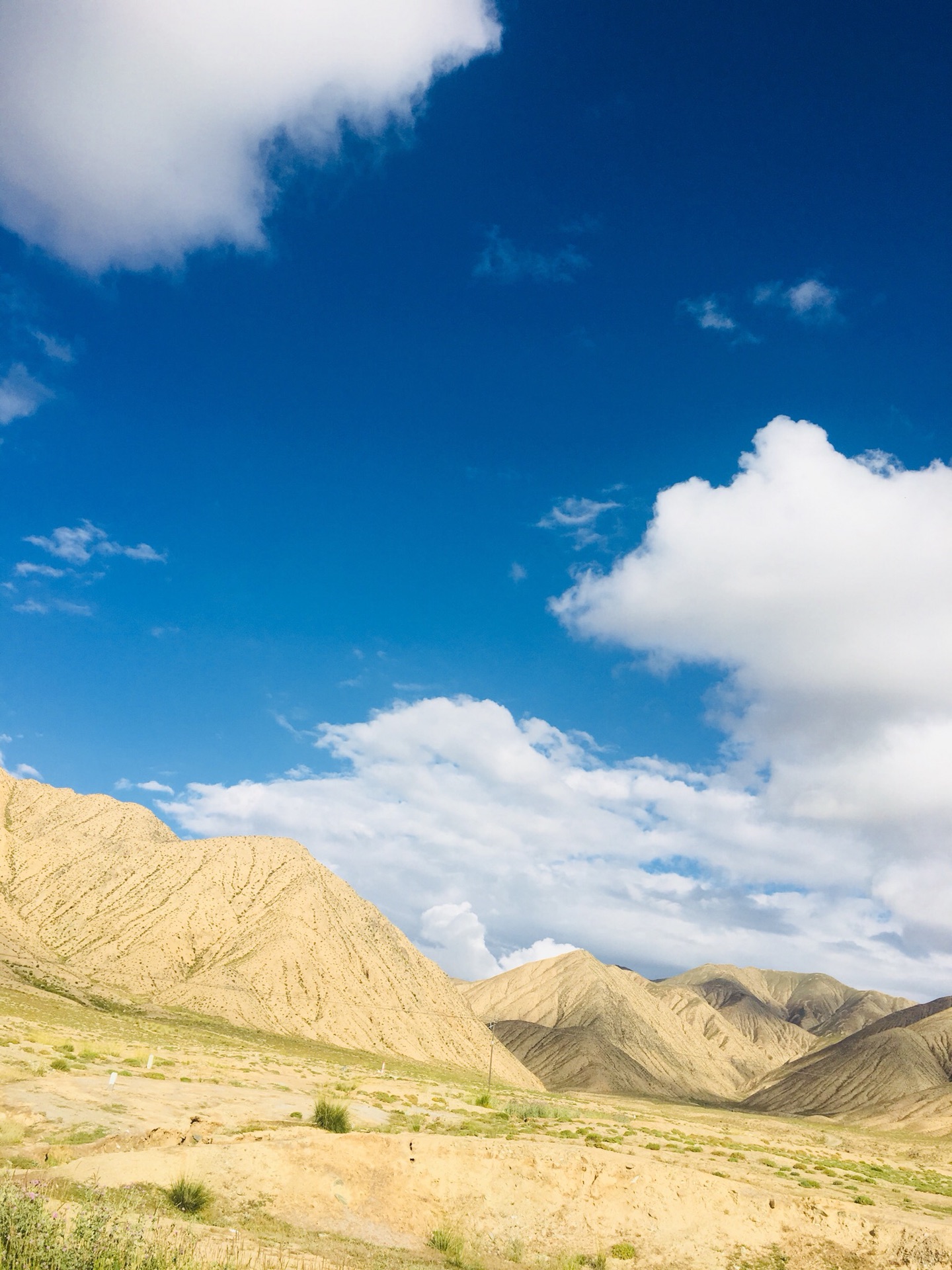 都兰简谱_都兰马头琴