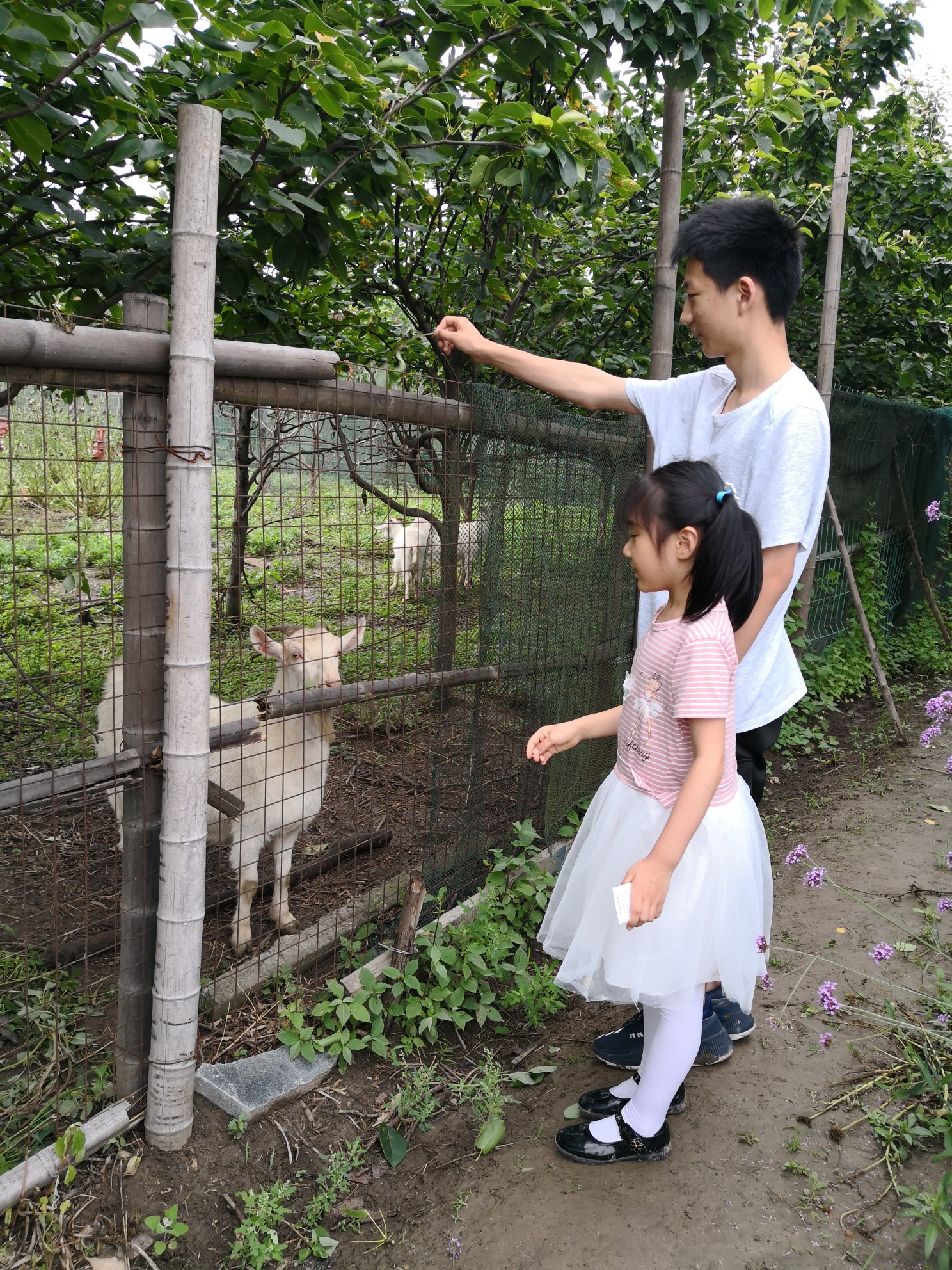 蘇州自助遊攻略