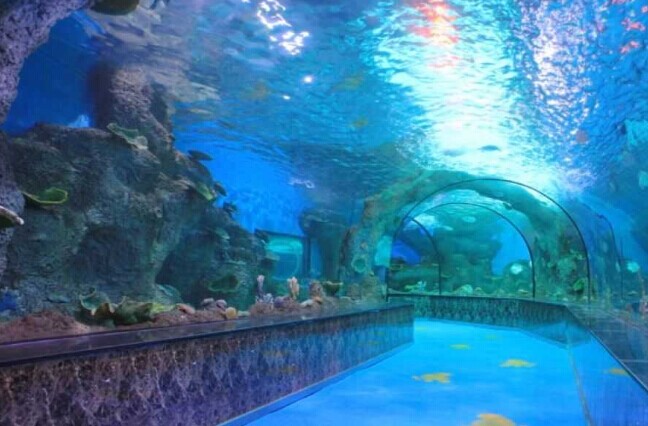 分为二层,地下:淡水生物区,活珊瑚观赏区,海底观光隧道,3d海洋体验馆
