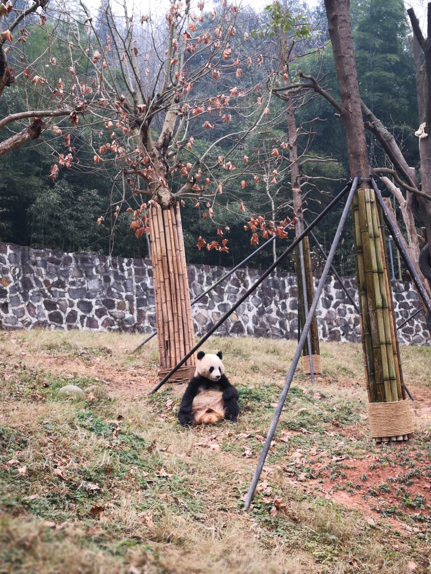 都江堰自助遊攻略