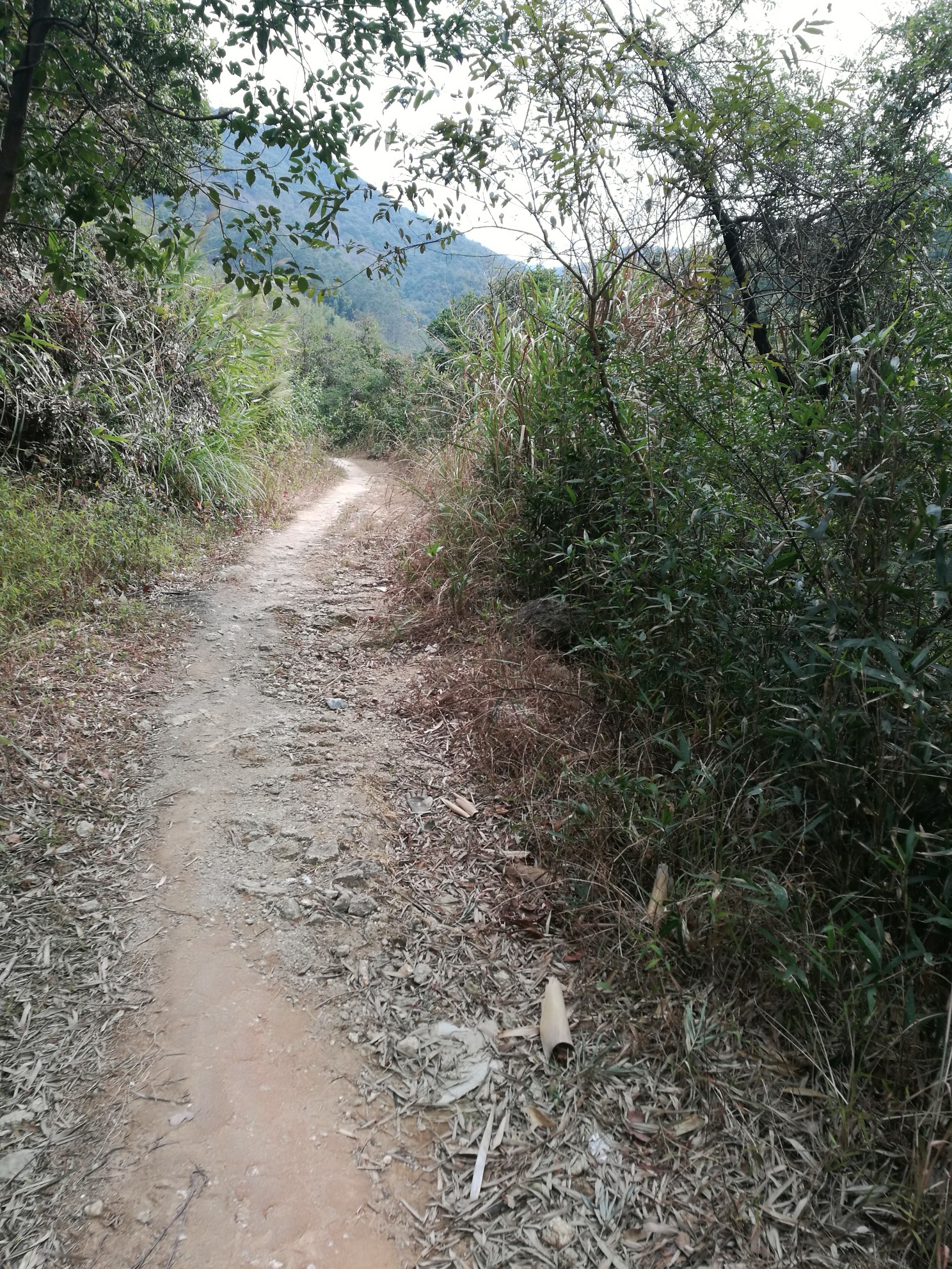 汕头峡山路内衣_汕头天山路(3)