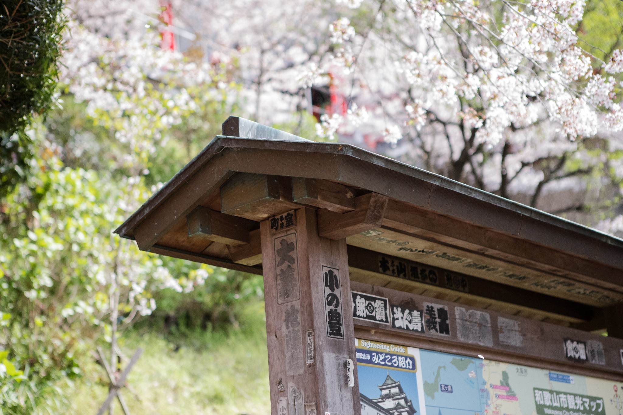 和歌山市自助遊攻略