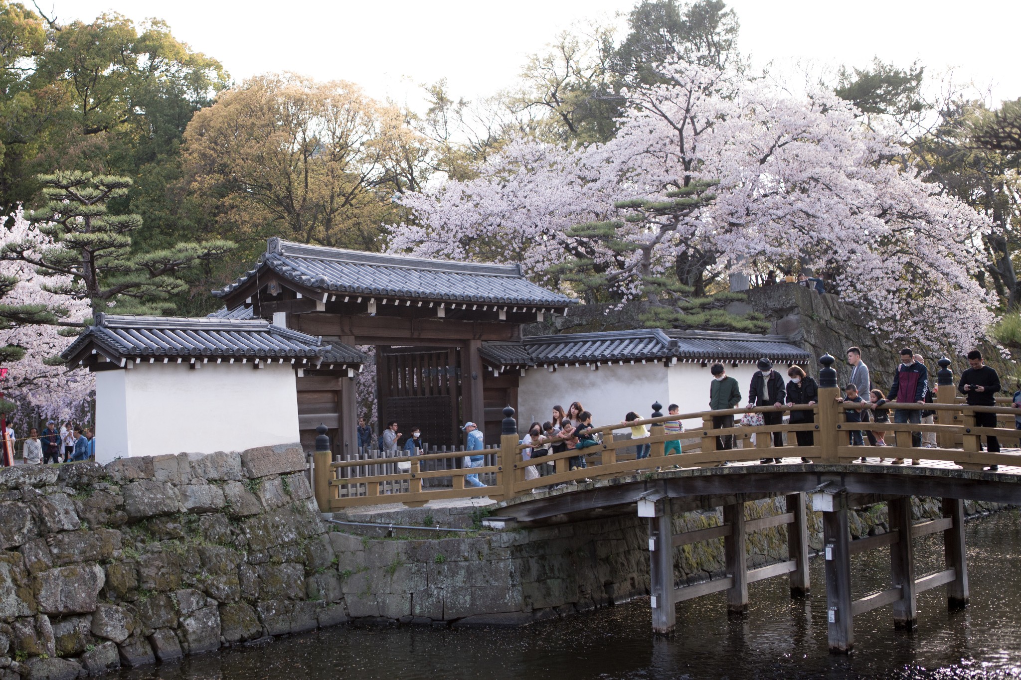 和歌山市自助遊攻略