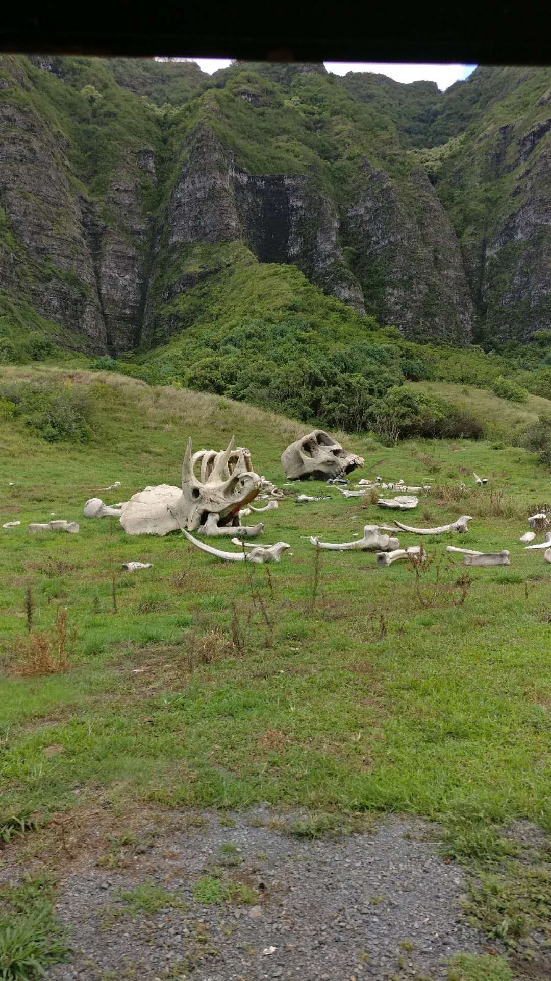 夏威夷自助遊攻略