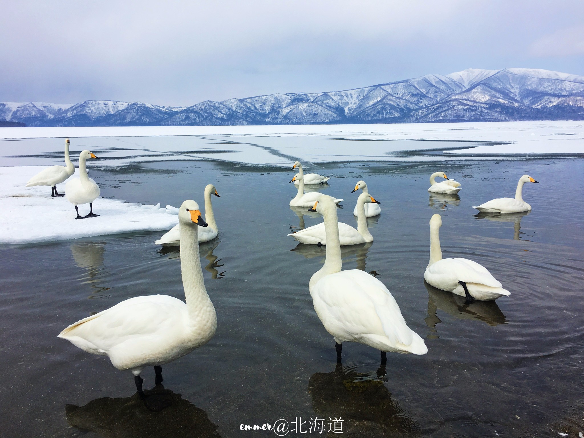 北海道自助遊攻略