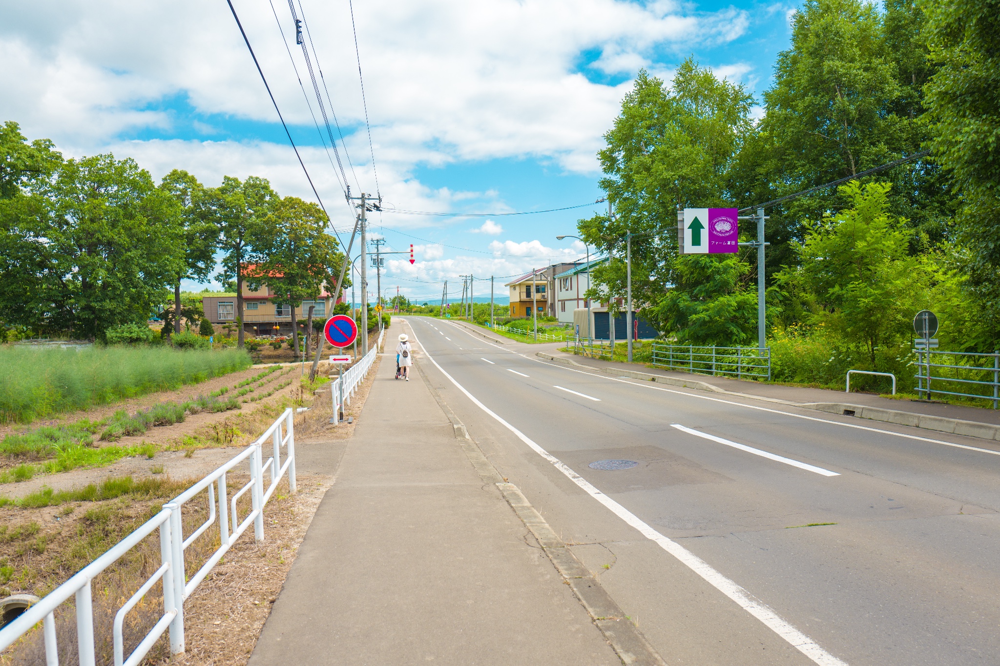 北海道自助遊攻略