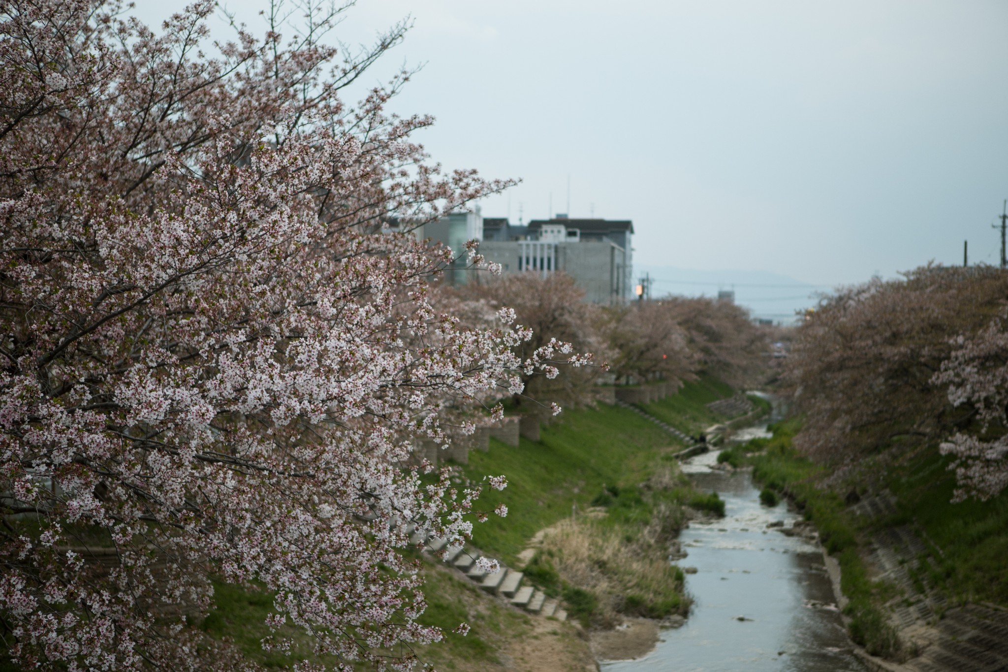 和歌山市自助遊攻略