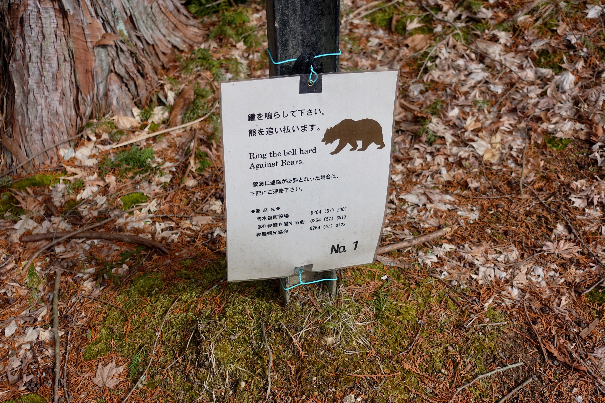 名古屋自助遊攻略