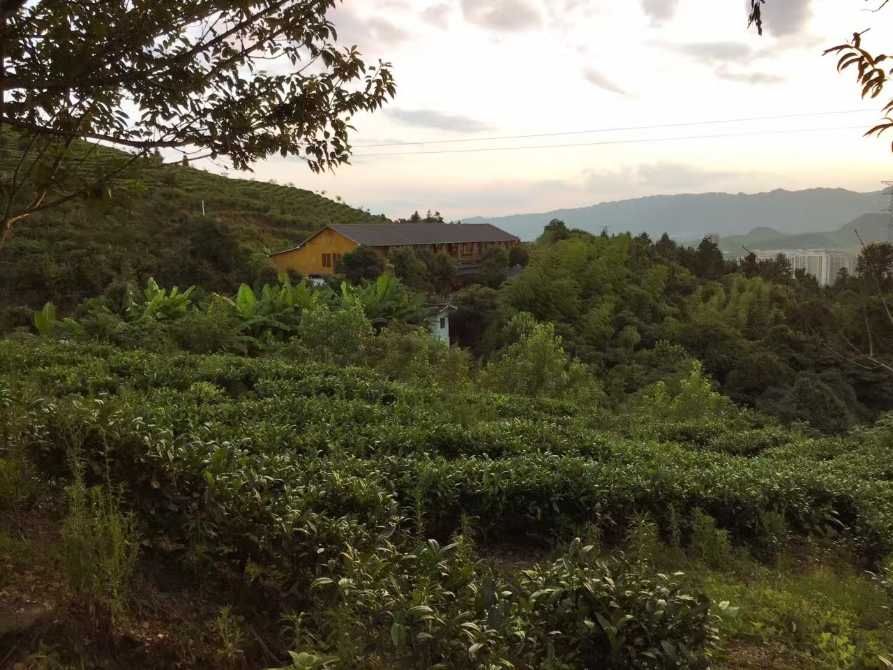 湄潭黄家坝gdp_湄潭黄家坝 搜狗百科(2)