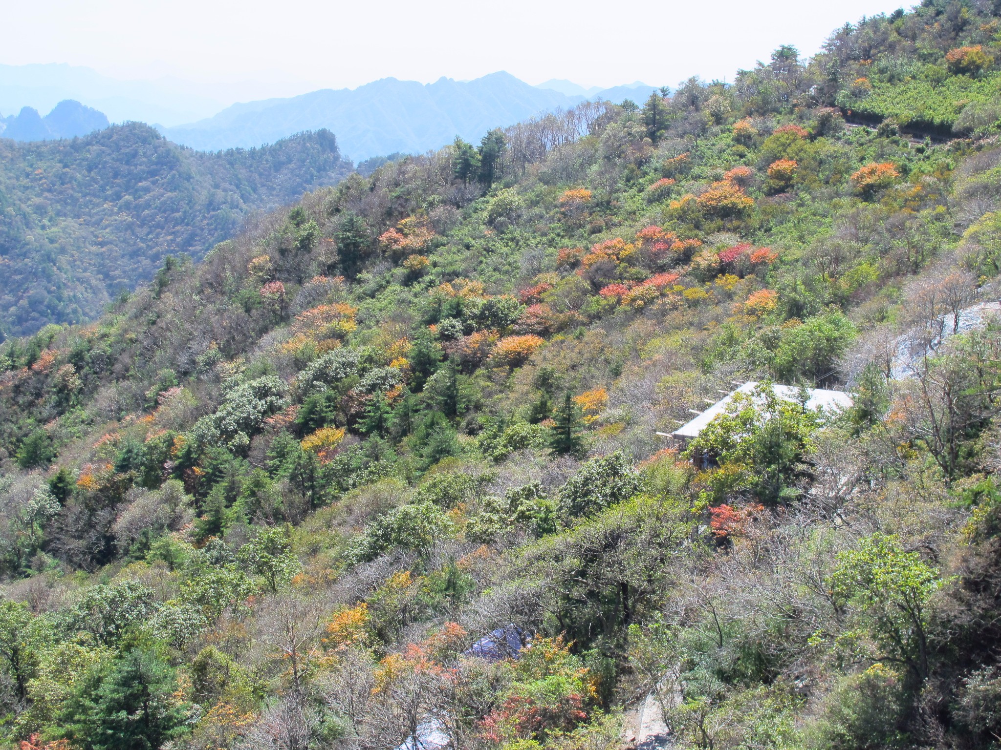 欒川自助遊攻略