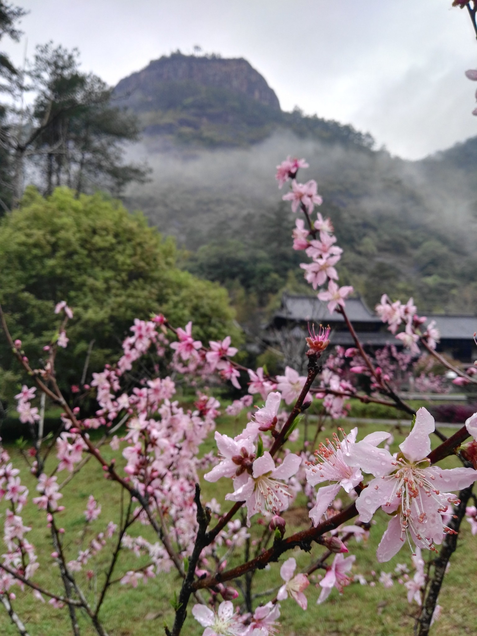 武夷山自助遊攻略