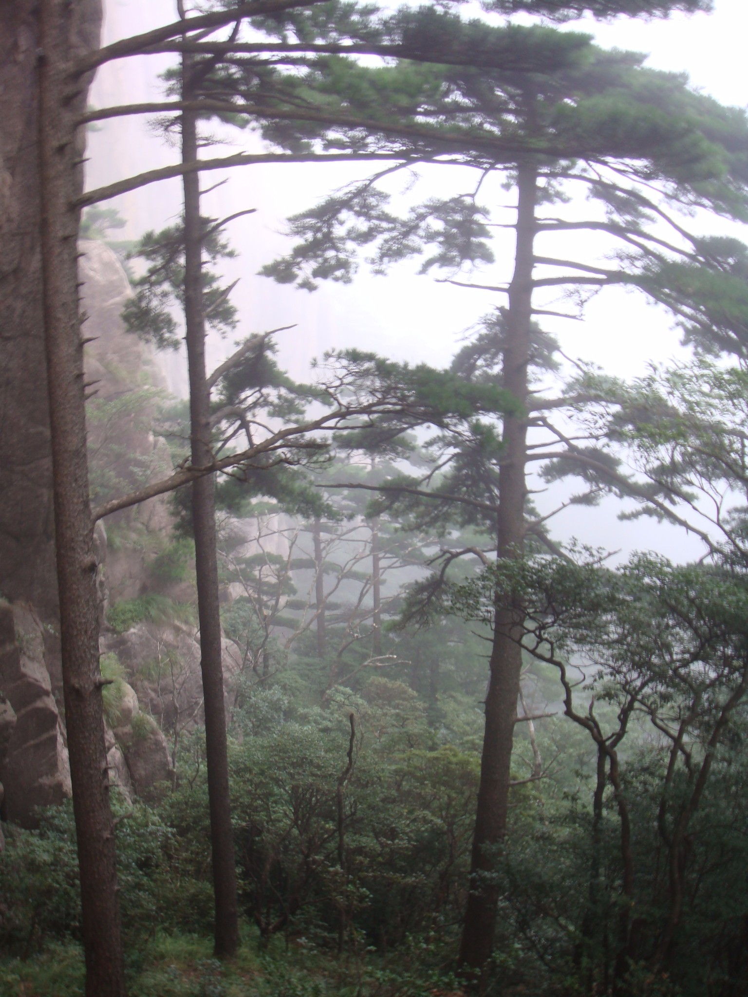 黃山自助遊攻略