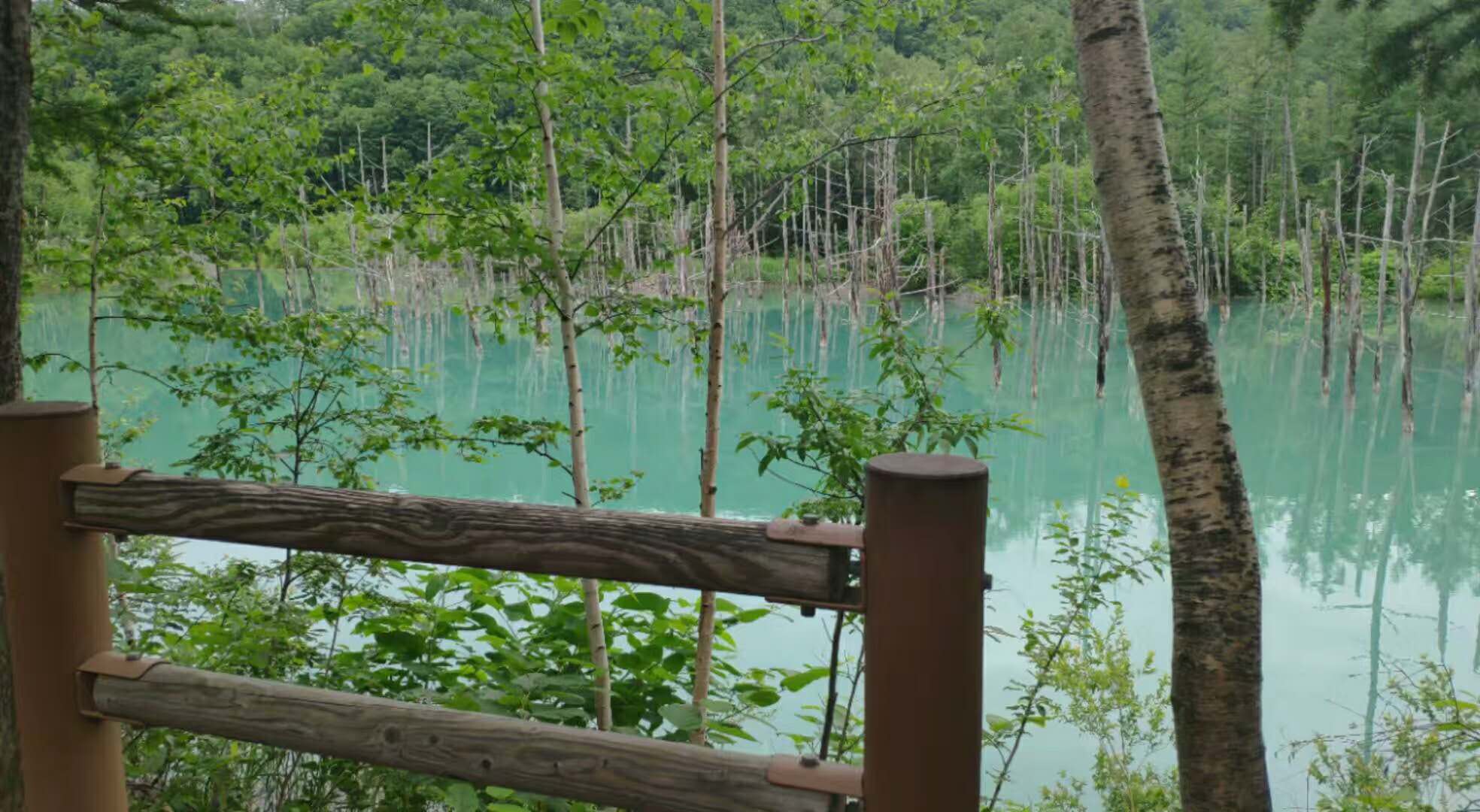 北海道自助遊攻略