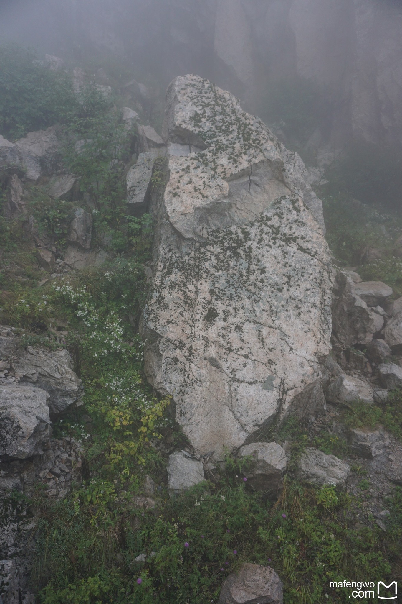 欒川自助遊攻略