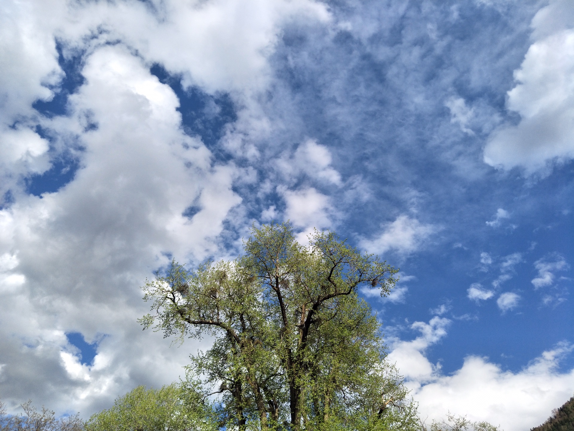 wKgBEFrZc1WAShjVAAsW0tK1N-U81.jpeg?imageView2%2F2%2Fw%2F600%2Fh%2F600%2Fq%2F90