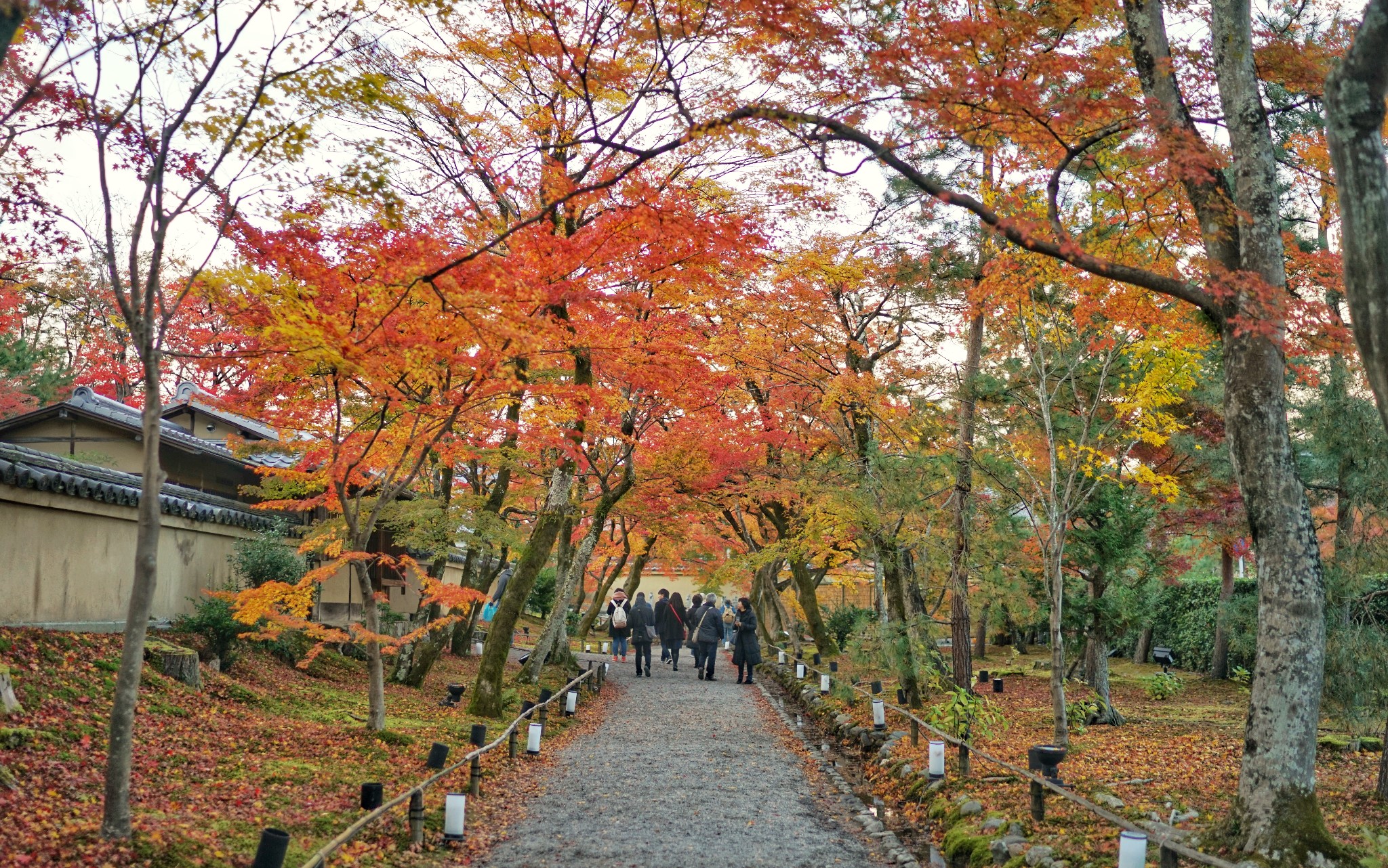 京都自助遊攻略