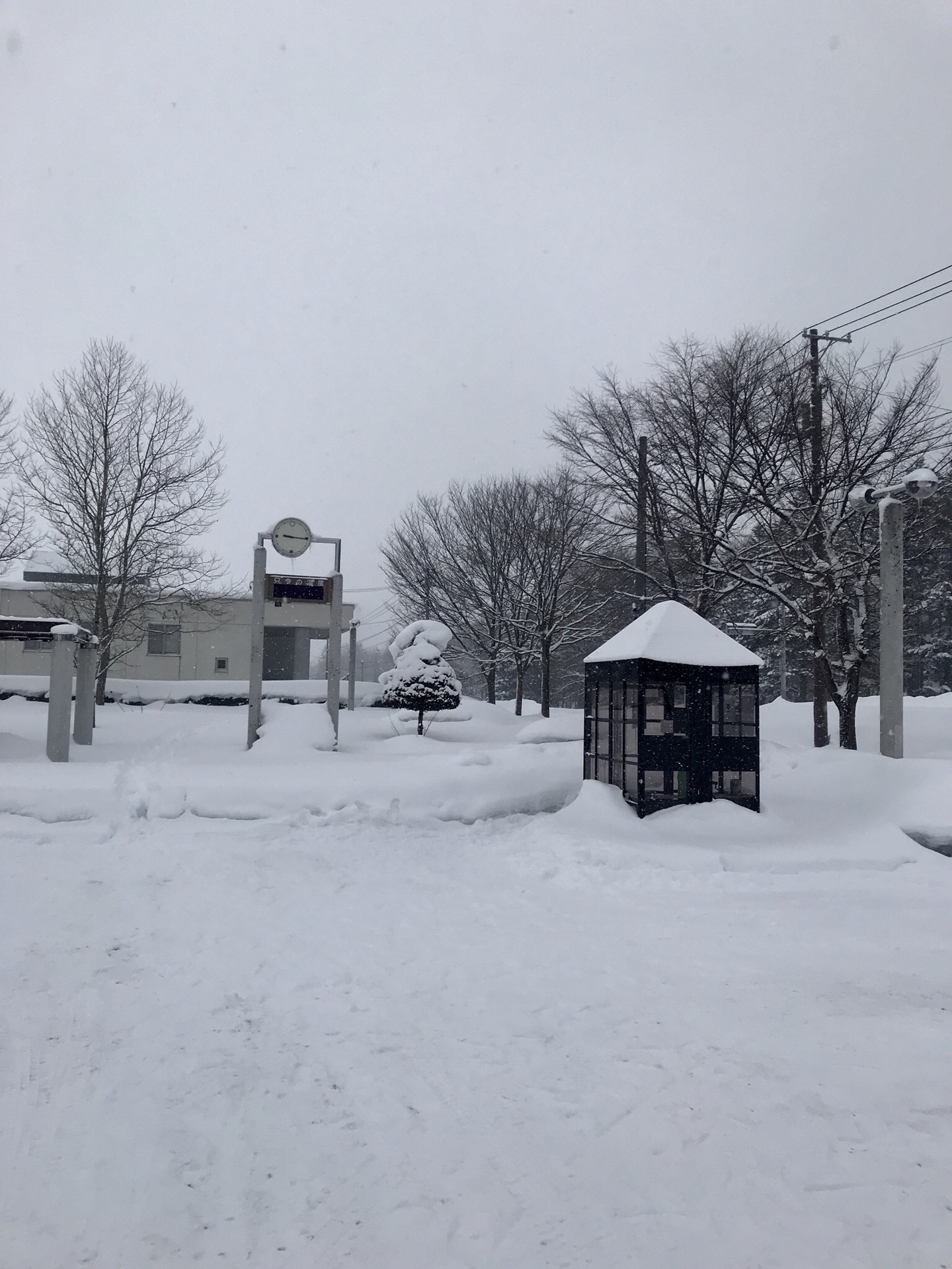 北海道自助遊攻略