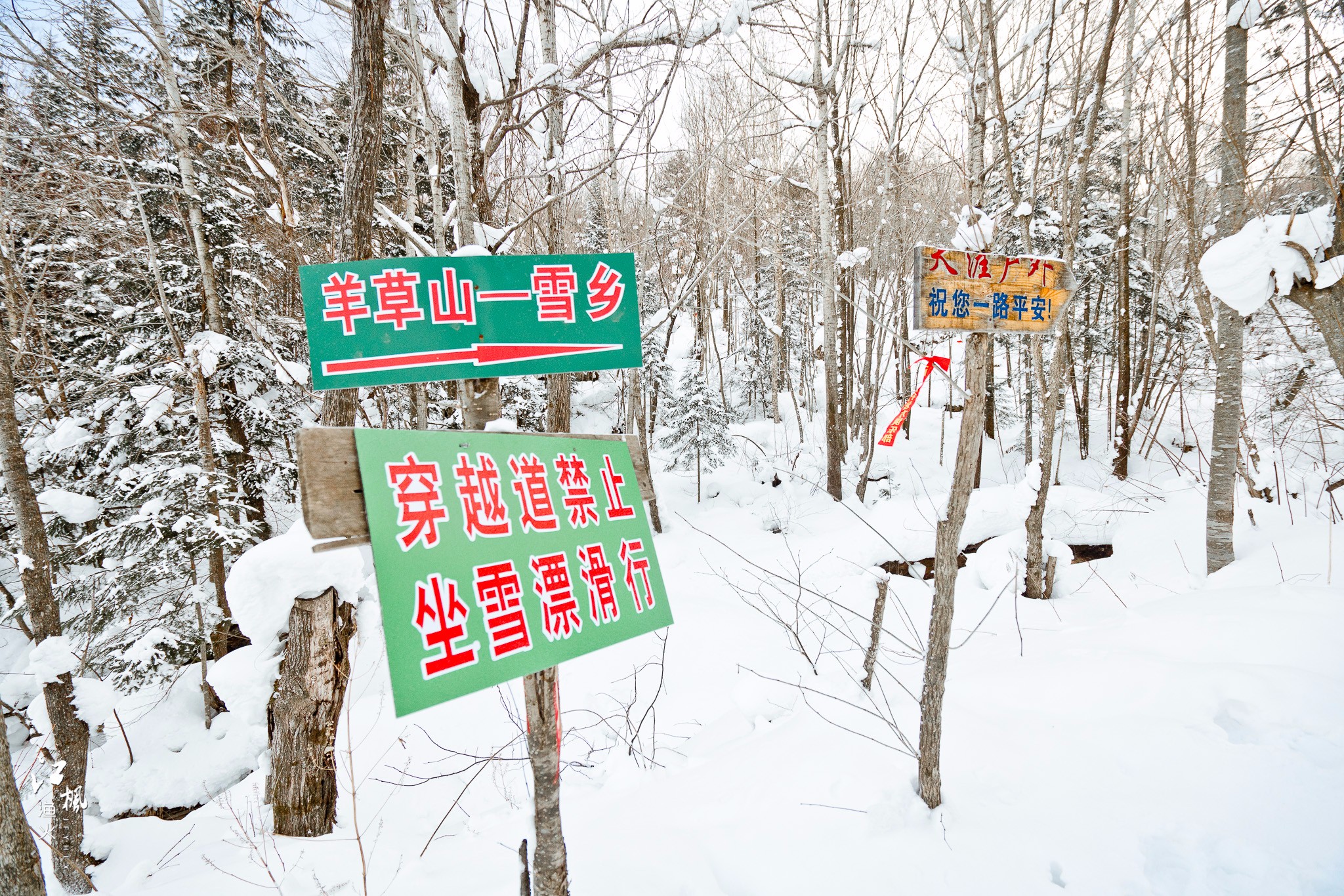 雪鄉自助遊攻略