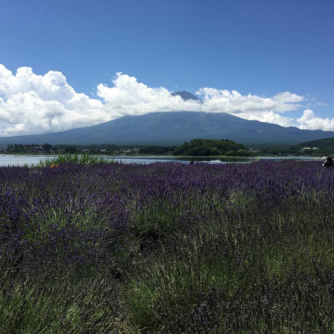 富士山自助遊攻略