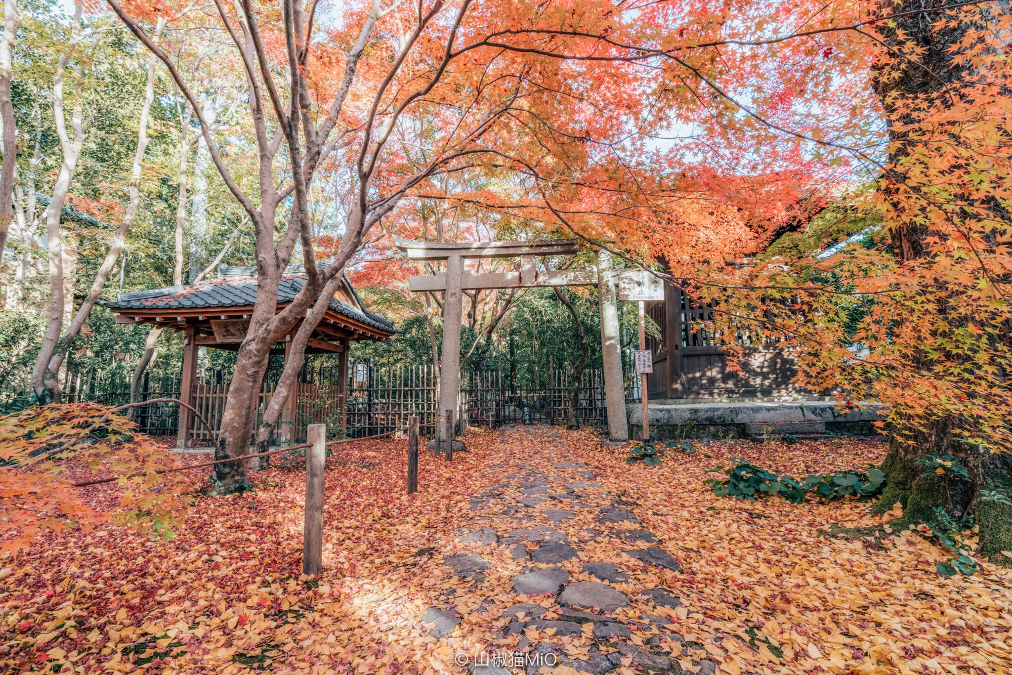 京都自助遊攻略