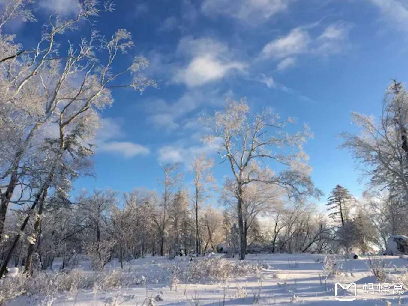 雪鄉自助遊攻略