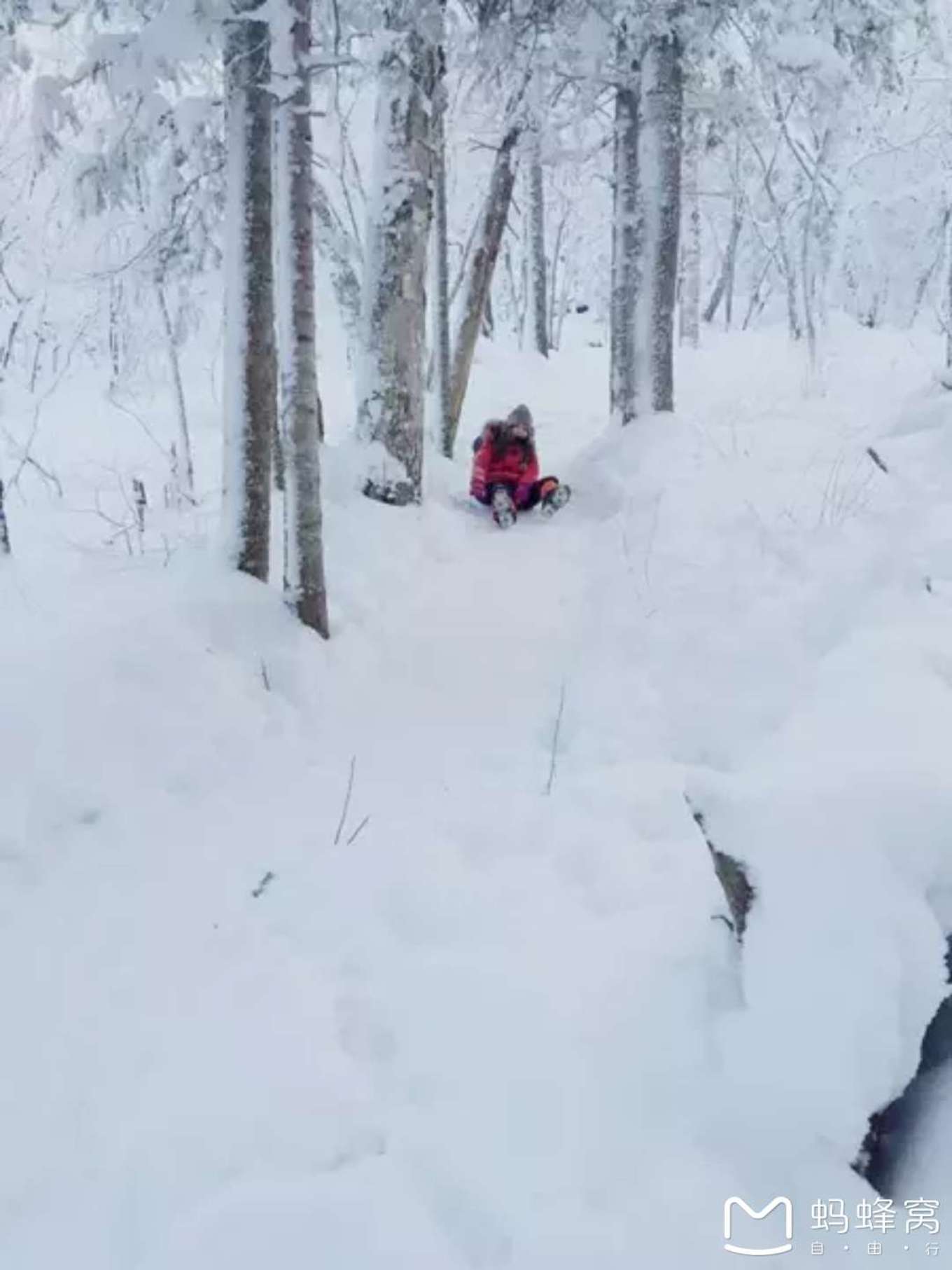 雪鄉自助遊攻略