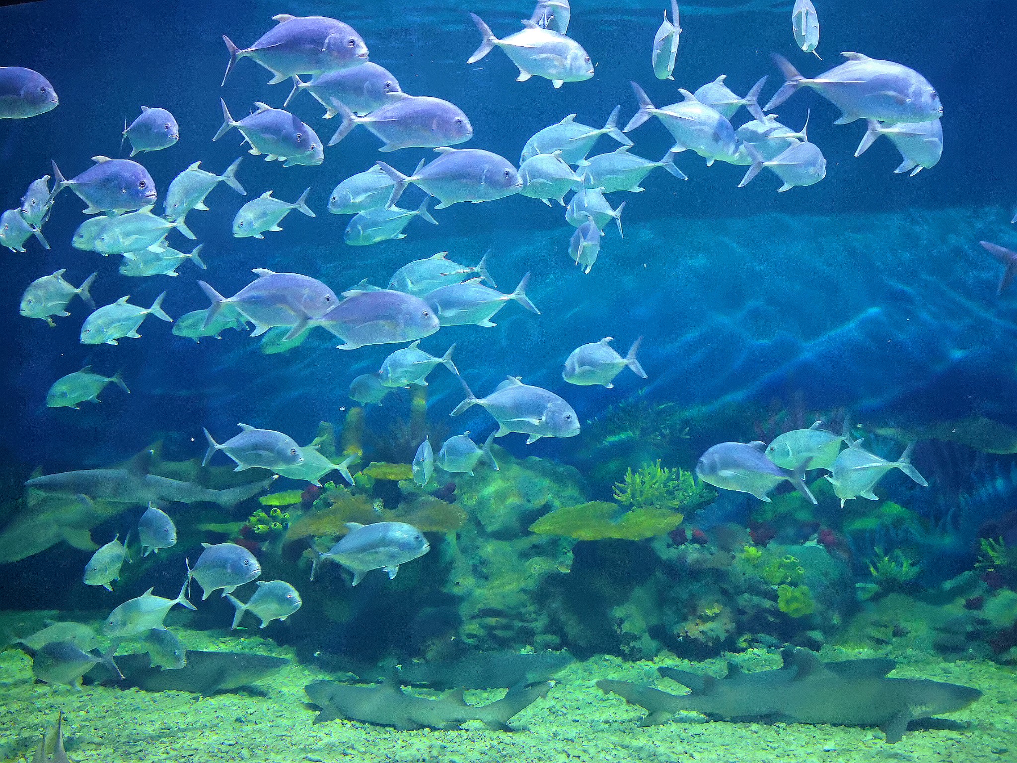 wKgED1wk1PiAEWOsABNTlBEFGVQ21.jpeg?imageView2%2F2%2Fw%2F680%2Fq%2F90%7CimageMogr2%2Fstrip%2Fquality%2F90