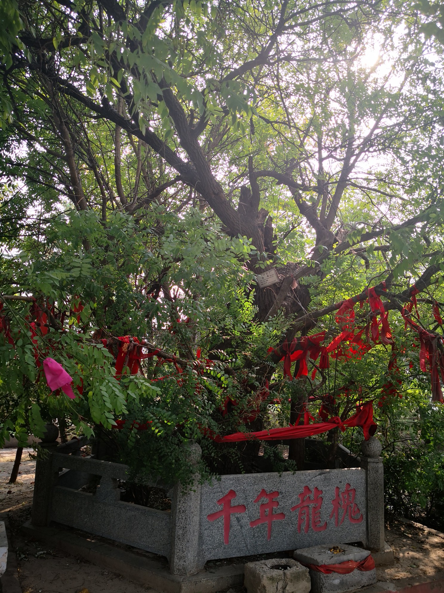 東阿自助遊攻略