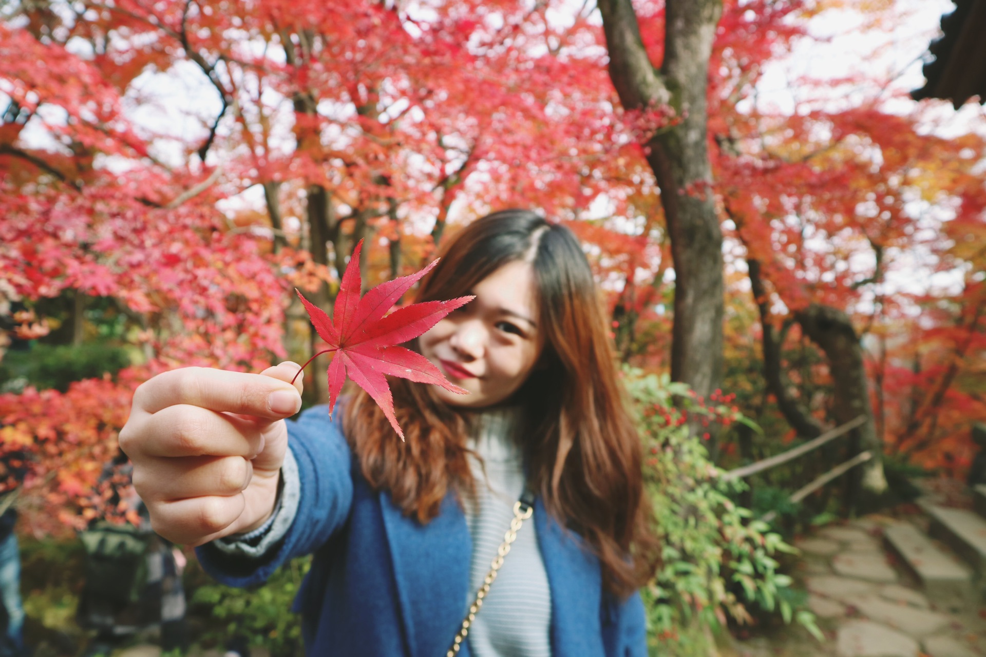 京都自助遊攻略