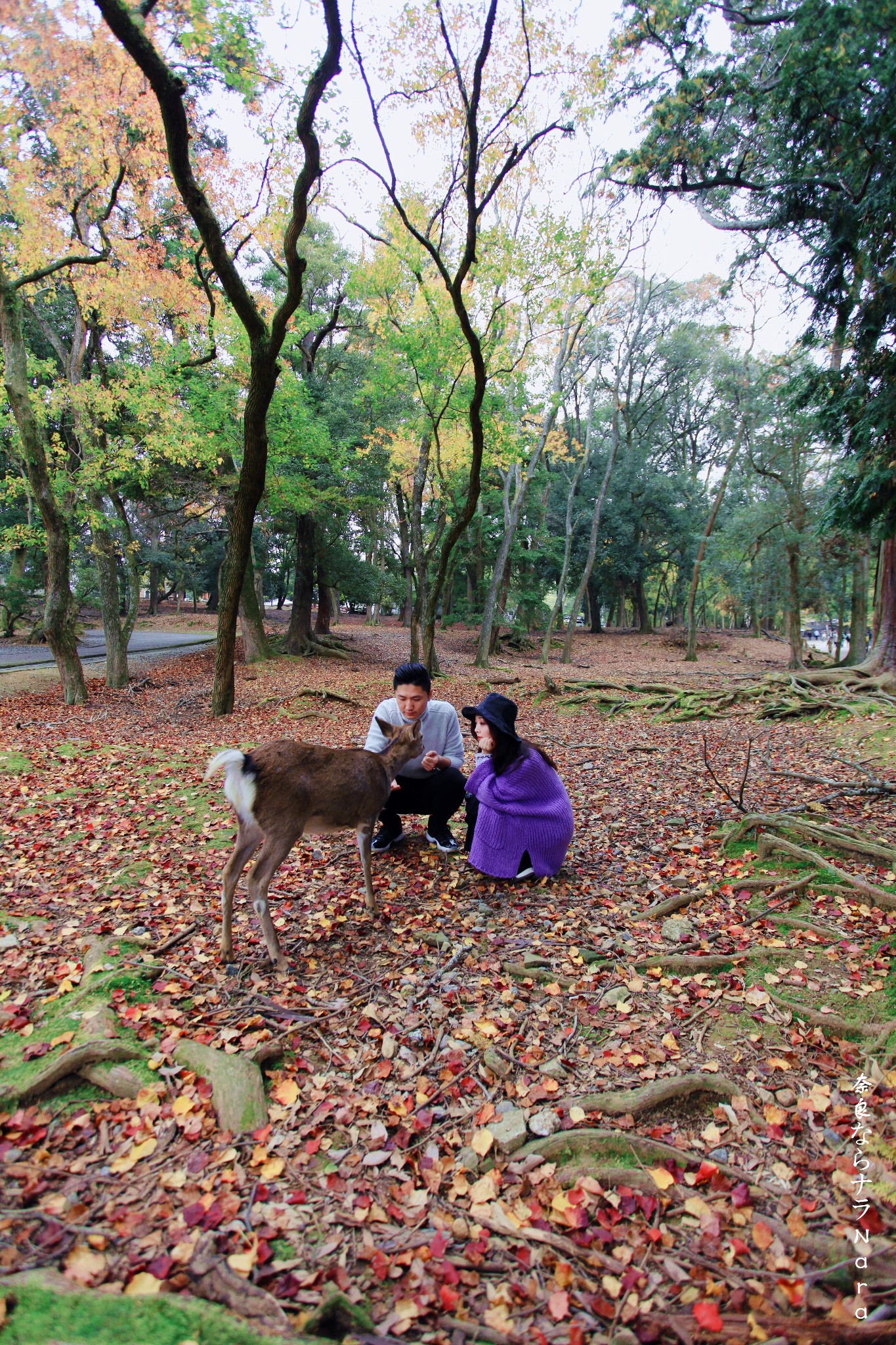 京都自助遊攻略