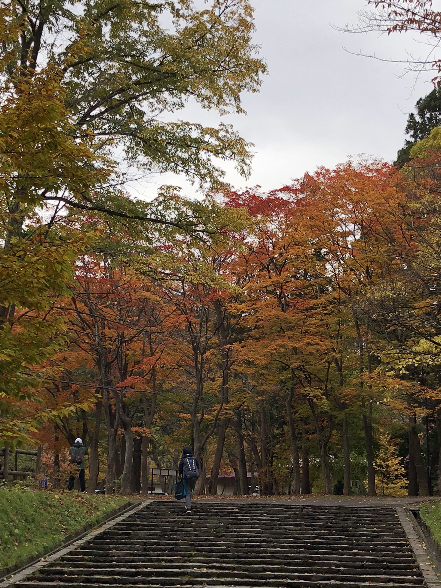 札幌自助遊攻略