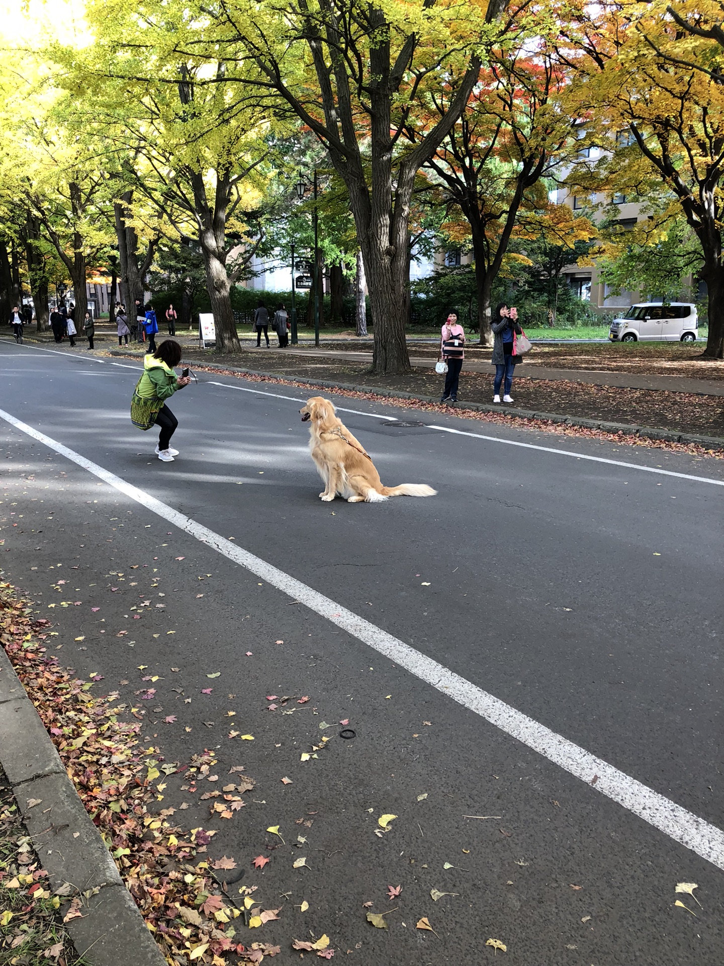 札幌自助遊攻略