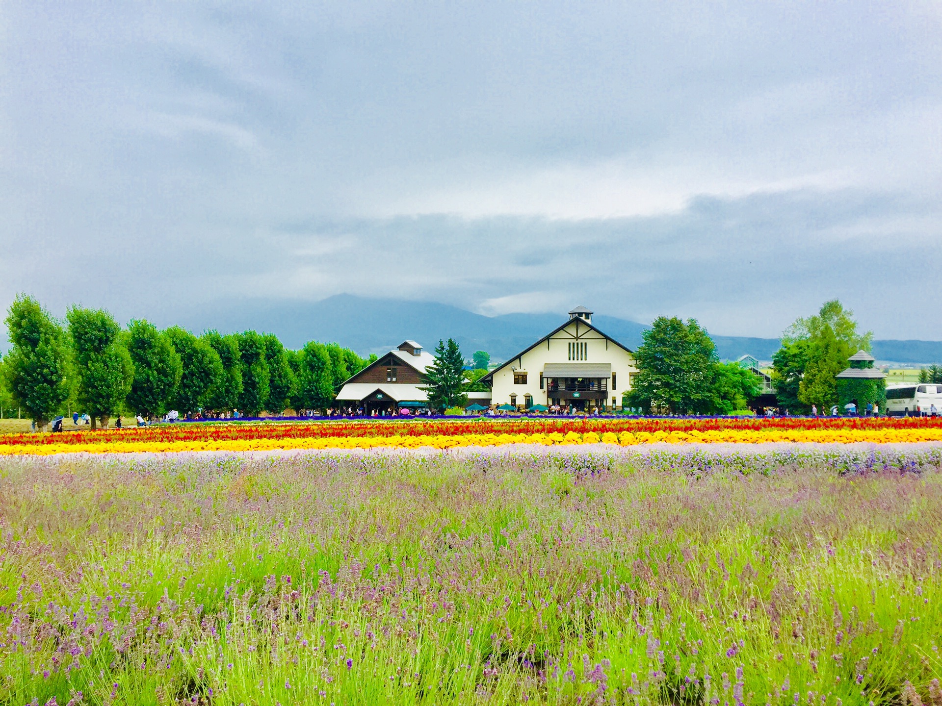 北海道自助遊攻略