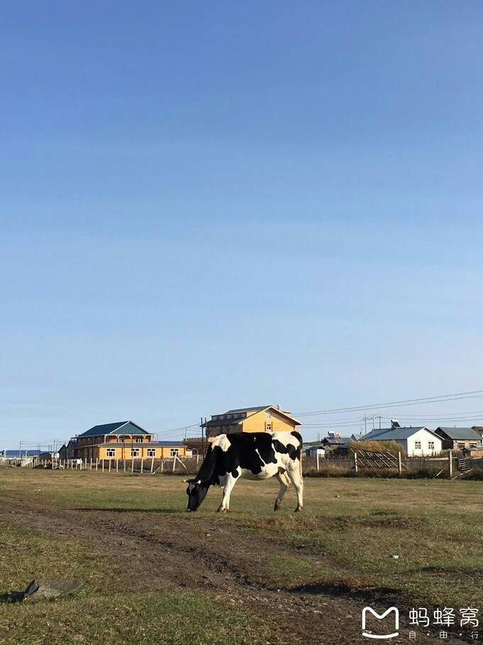 內蒙古自助遊攻略