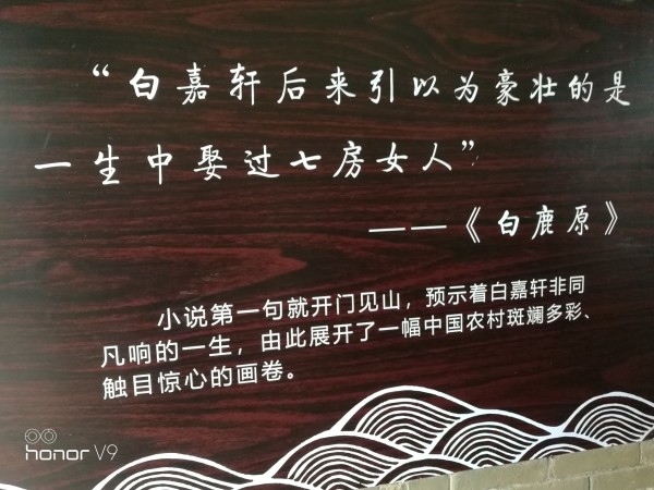 中医口号 wKgED1wA-bSAWL0_AApv3qKttVk41.jpeg?imageView2%2F2%2Fw%2F600%2Fh%2F600%2Fq%2F90