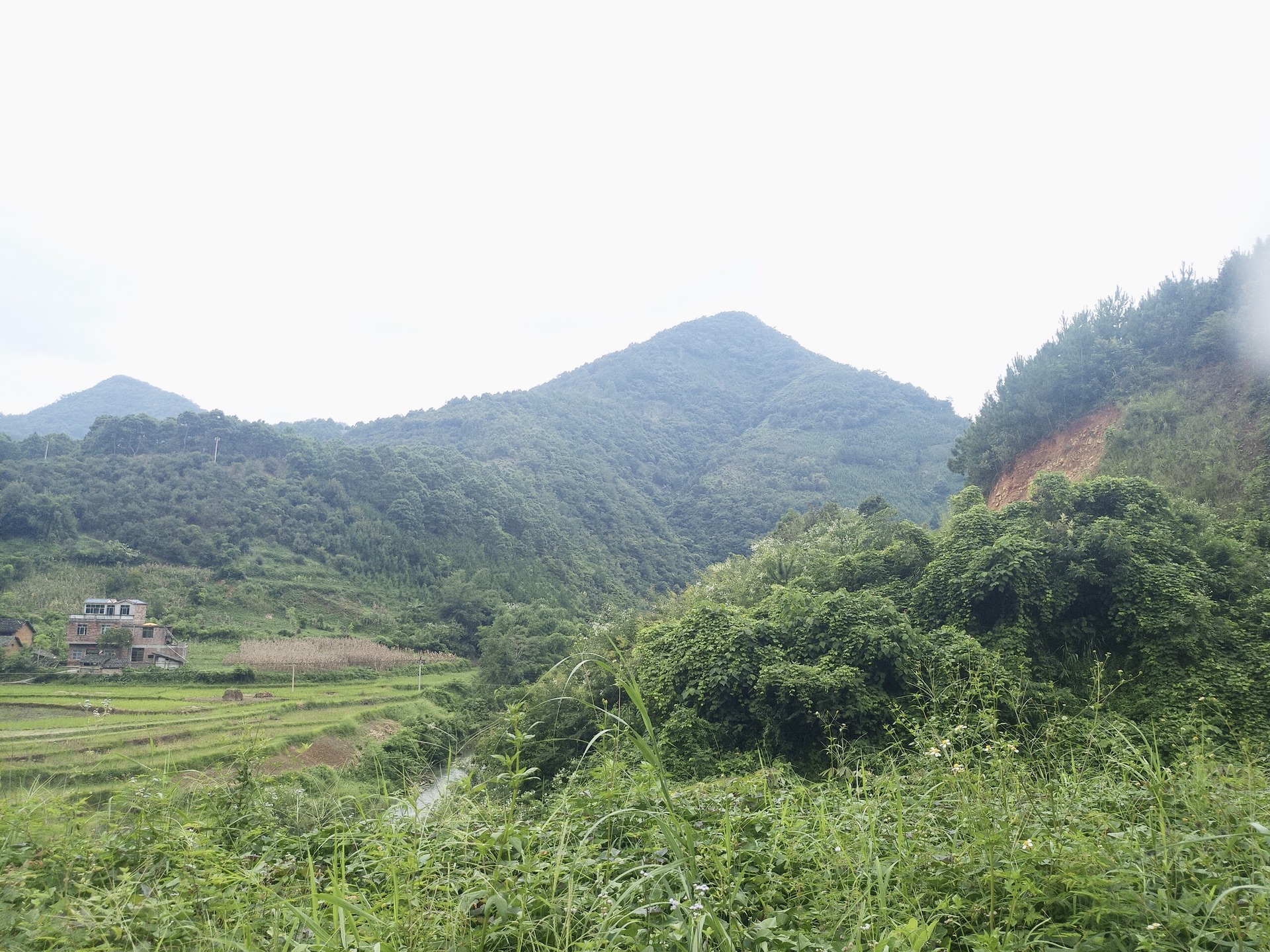 廣西百色市西林縣那佐苗族鄉皆馬村 廣西百色市西林縣那佐苗族鄉皆